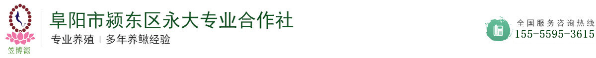 阜阳市颍东区永大专业合作社